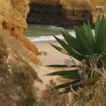 Casa Cereja 'adults Only' * 阿尔布费拉