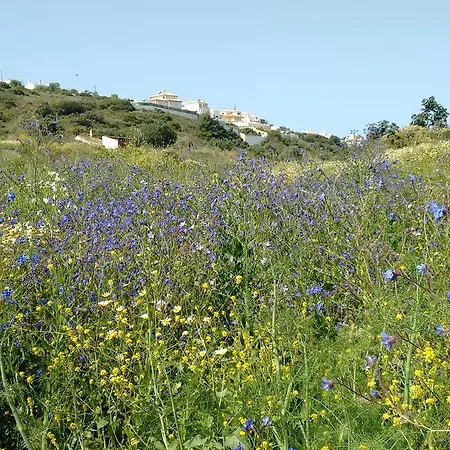 住宿加早餐酒店 Casa Cereja 'adults Only' *