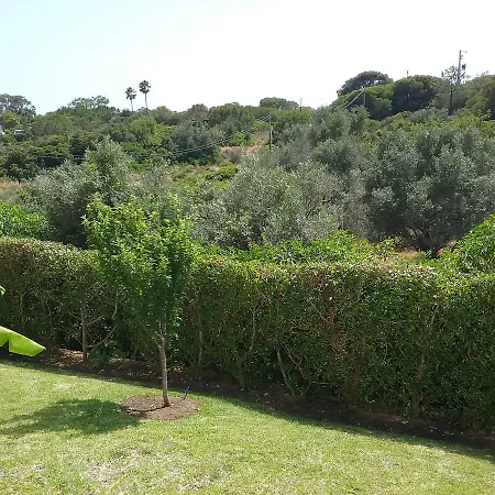 Casa Cereja 'adults Only' * 阿尔布费拉