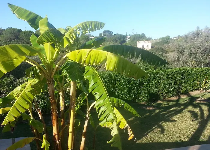 Nocleg ze śniadaniem Casa Cereja 'adults Only' *