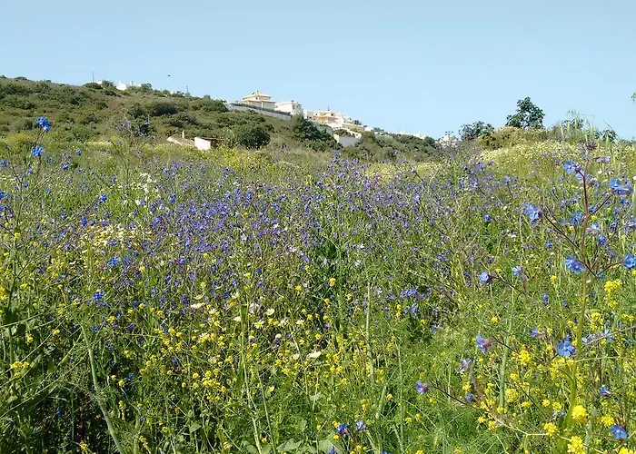 Nocleg ze śniadaniem Casa Cereja 'adults Only' *