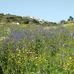 Bed and breakfast Casa Cereja 'adults Only' *
