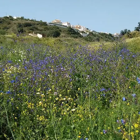 Casa Cereja 'adults Only' Bed and breakfast Albufeira